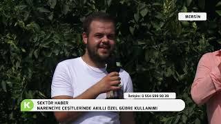 NARENCİYE ÇEŞİTLERİNDE AKILLI ÖZEL GÜBRE KULLANIMI | SEKTÖR HABER