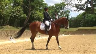 FEI World Dressage Challenge 2016 Elena Ceballos en Wendy Palo Blanco