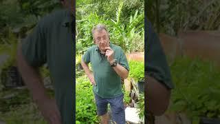 'Edible Medicinal Plants' - Nature's Healing Powerhouse - Livestream Nursery Walkthrough