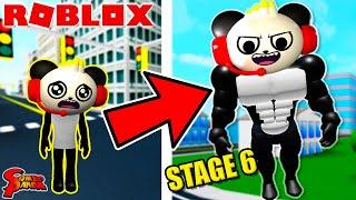 The Strongest Panda in Roblox! Let’s Play Roblox Lifting Simulator