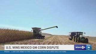 US favored in Mexico genetically modified corn dispute