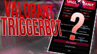 NEW Valorant Trigger Bot (Fully Undetected 2024)