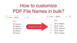 New feature: Customize PDF File Names in Power PDF Filler