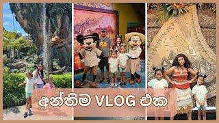 අන්තිම VLOG එක | ANIMAL KINGDOM DAY VLOG | SINHALA | MOM LIFE WITH HESHI