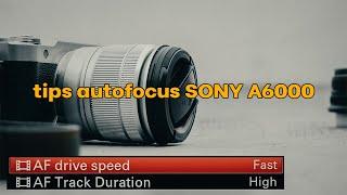 SONY A6000 | Setting atau Mode Auto Focus | AF Drive Speed & AF Track Duration | 2021