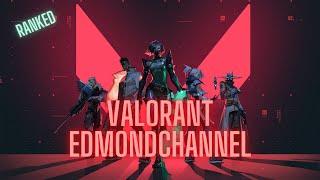 GTA RP / VALORANT~ EDMONDchannel