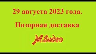 29 августа 2023 года. Позорная доставка М.видео