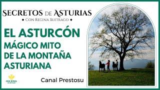 Canal Prestosu | Secretos de Asturias: el #asturcón de la montaña asturiana #Llanes