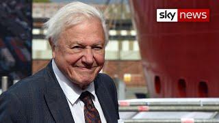 David Attenborough calls for ban on 'destructive' deep sea mining