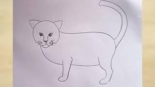 how to draw cat drawing easy step by step@Aarav Drawing Creative