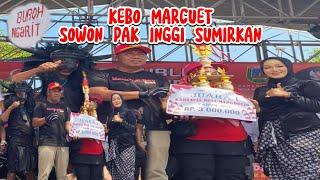 KEBO MARCUET SOWAN PAK INGGI DESA MARGOREJO