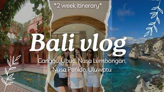 BALI VLOG 2024 | Canggu, Ubud, Seminyak, Nusa Lembongan & Penida, Uluwatu *2 week itinerary*