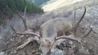 Late Season Mule Deer Hunt- Idaho 2016 (Part 2)