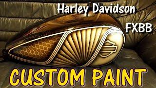 【Custom Paint】HarleydavidsonFXBB　black&gold paint