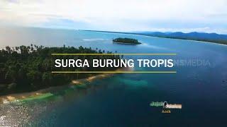 SURGA BURUNG TROPIS | JEJAK PETUALANG (31/07/21)