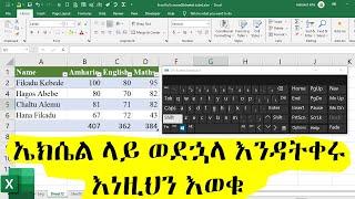 ኤክሴል ላይ ወደኋላ እንዳትቀሩ እነዚህን እወቁ | Excel in Amharic