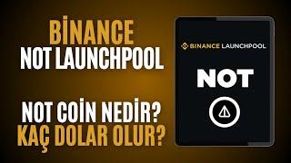 Binance Launchpool NOTCOİN Listeleniyor! Not Coin Nedir? Not Coin Kaç Dolar Olur?