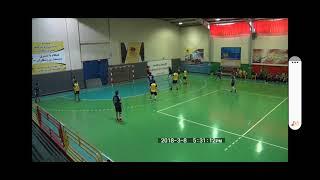 #handball  what a goal