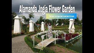 Alamanda Jogja Flower Garden, Taman bunga bernuansa Eropa - Jelajah Daeng