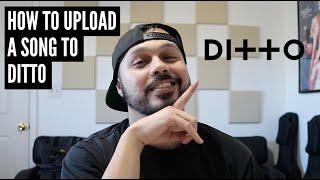 How To Upload A Song To Ditto Distribution