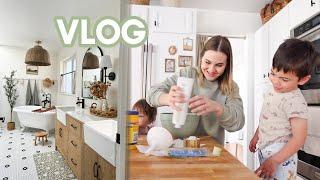 MOM VLOG | Publishing my Book, Trader Joe's Haul, Bathroom Reno!