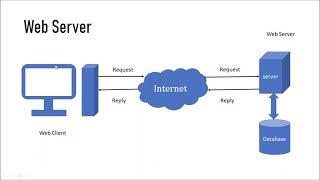 Web Servers and Server Products