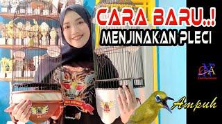 Cara Menjinakan Pleci bahan dengan Sistem Tempel | Part 2