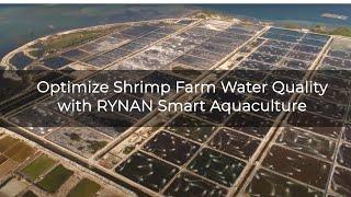 Optimize Shrimp Farm Water Quality with RYNAN Smart Aquaculture