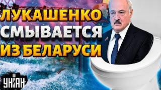 СКАНДАЛ! Лукашенко смывается из Беларуси: Китай ввел войска - Мартынова