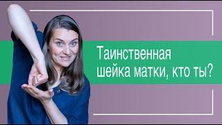 №7 Процесс родов | Как раскрывается шейка матки во время родов?