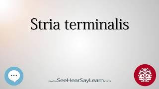 Stria terminalis   Anatomy of the Brain   SeeHearSayLearn 