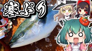 お正月の縁起物３万円のブリをさばいていく！４種類のブリ料理で1番おいしいのはどれ？ランキング！【料理】【ゆっくり実況】