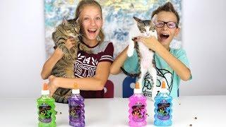 Our Cats Pick Our Slime Ingredients Challenge!!!