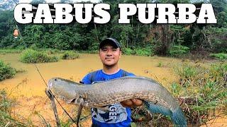 DANAU KERUH YANG DIHUNI GABUS-GABUS PURBA