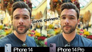 iPhone 14 vs iPhone 14 Pro Real World Camera Test! Are They The Same?