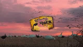 White Rock Decoys | New Faces - Fresh Vision | 2023