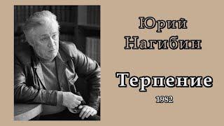 Юрий Нагибин. "Терпение". Классный рассказ. Аудиокнига.