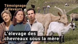 L’élevage des chevreaux sous la mère : témoignages d’éleveurs