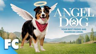 Angel Dog | Full Comedy Drama Dog Movie | Free HD Animal Faith Hallmark Film | FC