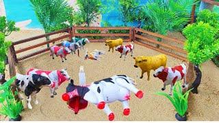 COW QURBANI ‼️WADIDAU PROSES POTONG SAPI QURBANI IDULIDHA COW CARTOON VIDEO