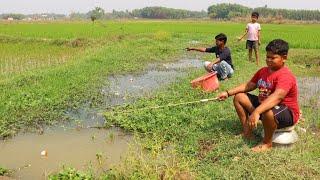 Fishing Video || Every boy in the village loves to fish in the field canal || Amazing hook fishing