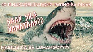 10 MAPANGANIB NA PATING NATIVE SA PINAS |Dangerous Shark in the Philippines TOP 10