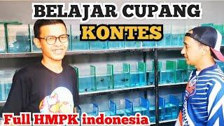 Galleri ini Full HMPK Kontes SNI, Kita Belajar cupang kontes