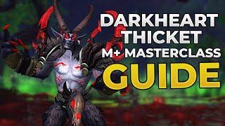 Darkheart Thicket 6 Minute MASTERCLASS | Dragonflight Season 3 M+ Guide