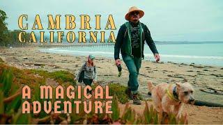 Cambria Travel Guide | California by CALIWAG