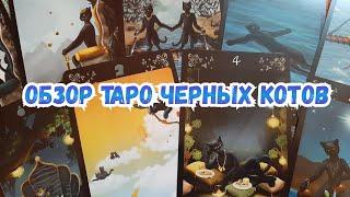 ОБЗОР ТАРО ЧЕРНЫХ КОТОВ