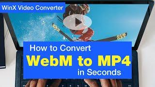 How to Convert WebM to MP4 in Seconds [Beginner’s Tutorial]