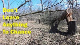 Easy Way To Get Bucks To Walk Within Bow Range Of Your Stand