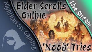 Elder Scrolls Online: "First" Time Playing | A Beginner's Perspective 2024