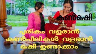 %Home made hair growth kajalmaking and coconut shell hair tie/നാടൻകൺമഷി വീട്ടിലുണ്ടാക്കാം